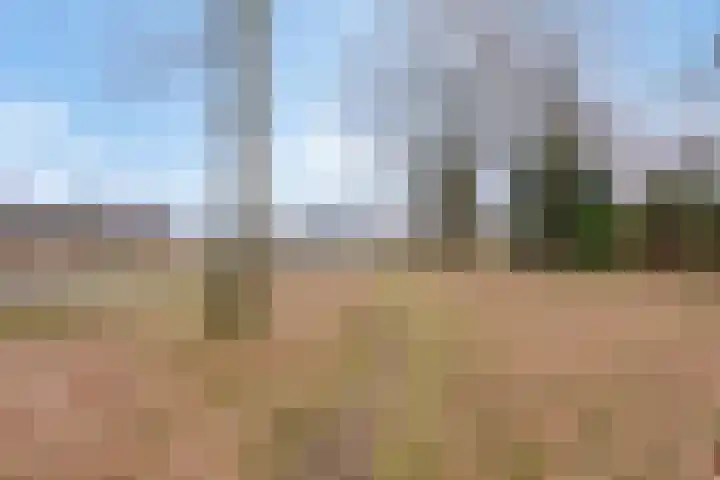 Vlintdreef 26 Assen thumbnail 45