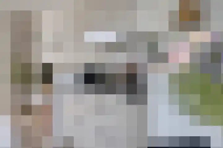 Vlodropstraat 30 Tilburg thumbnail 16