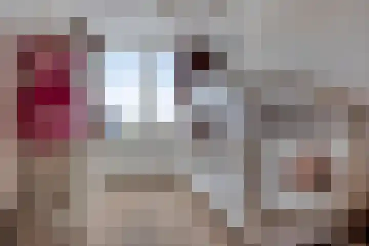 Vlodropstraat 30 Tilburg thumbnail 28