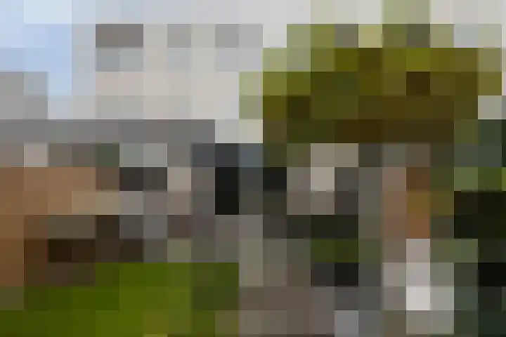 Vlodropstraat 30 Tilburg thumbnail 30