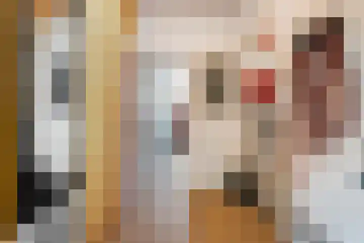 Vloeddijk 150 Kampen thumbnail 17