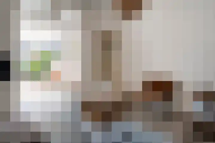 Vloeddijk 150 Kampen foto 2
