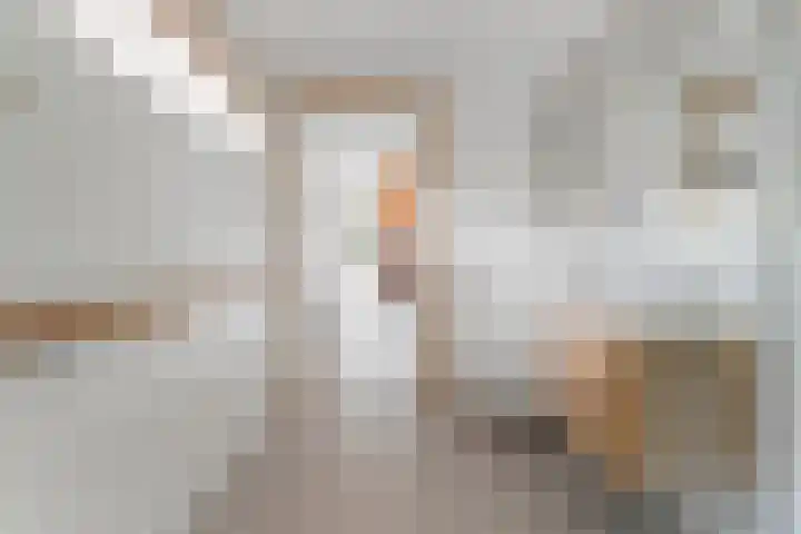 Vloeddijk 150 Kampen thumbnail 22