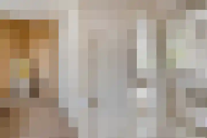 Vloeddijk 150 Kampen thumbnail 24