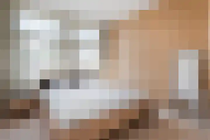 Vloeddijk 150 Kampen thumbnail 26