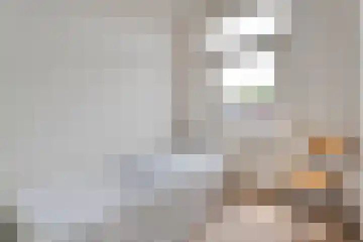 Vloeddijk 150 Kampen thumbnail 31