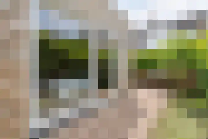 Vloeddijk 150 Kampen thumbnail 39
