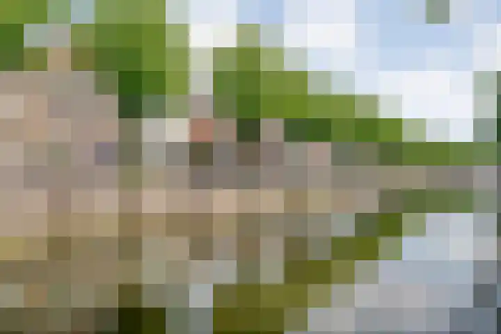 Vloeddijk 150 Kampen thumbnail 4