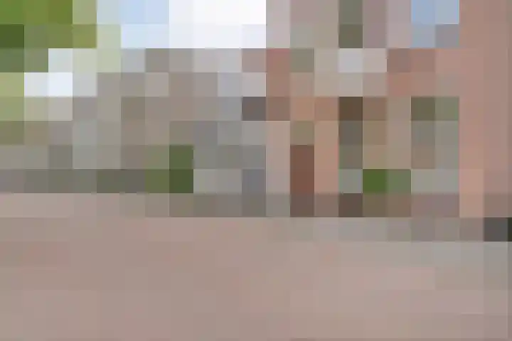 Vloeddijk 150 Kampen thumbnail 44