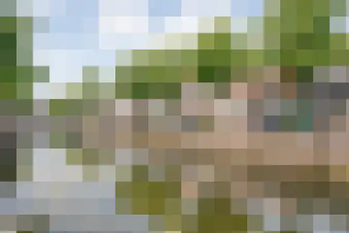 Vloeddijk 150 Kampen thumbnail 45