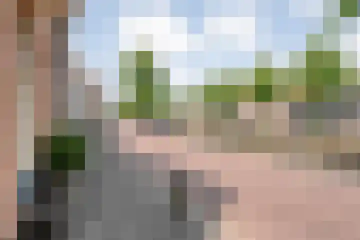 Vloeddijk 150 Kampen thumbnail 46