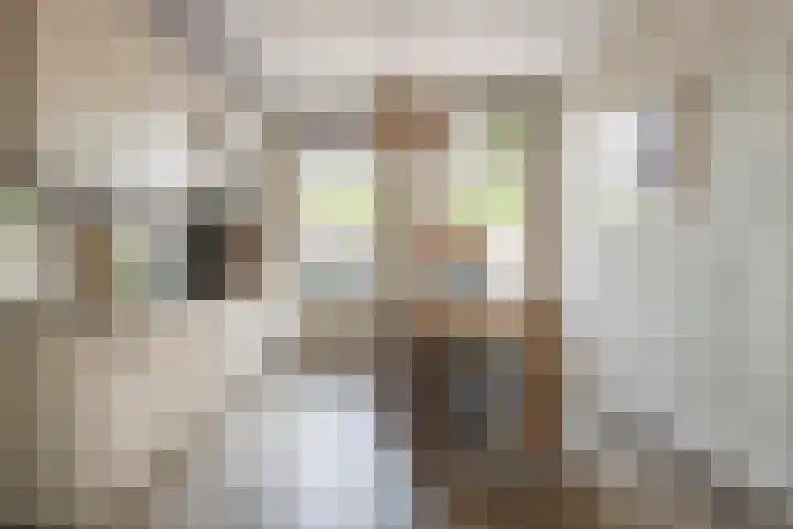 Vloeddijk 150 Kampen thumbnail 8