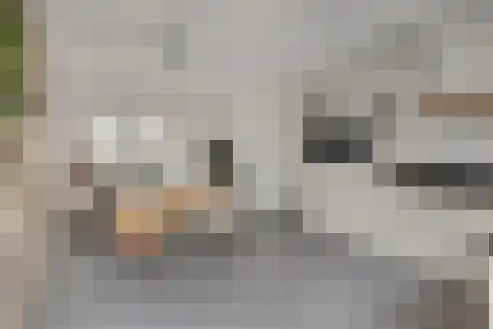 Vloeddijk 52 Kampen thumbnail 10
