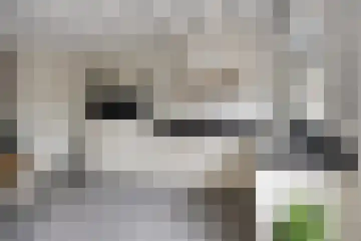 Vloeddijk 52 Kampen thumbnail 11
