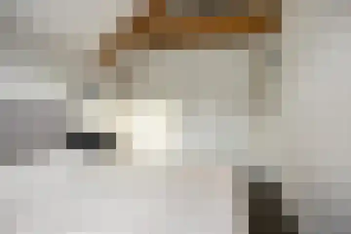Vloeddijk 52 Kampen thumbnail 17