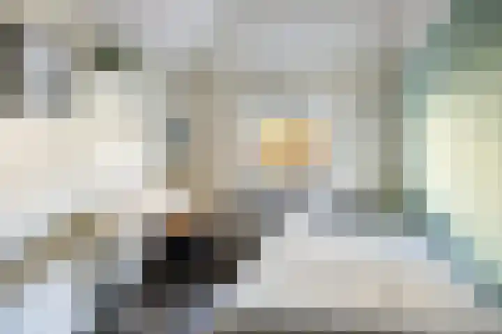 Vloeddijk 52 Kampen thumbnail 21