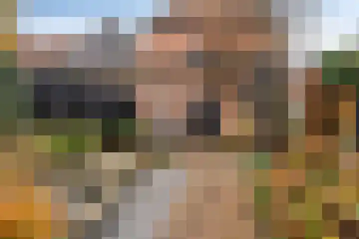 Vloeddijk 52 Kampen thumbnail 25