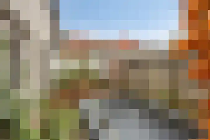 Vloeddijk 52 Kampen thumbnail 27