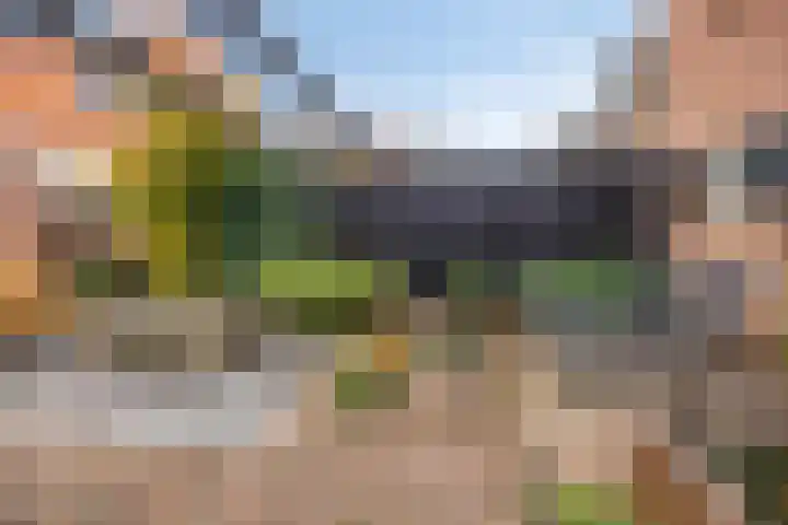 Vloeddijk 52 Kampen thumbnail 29