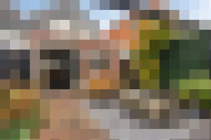 Vloeddijk 52 Kampen thumbnail 31
