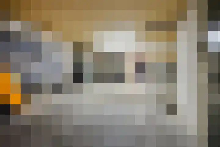 Vloeddijk 52 Kampen thumbnail 34