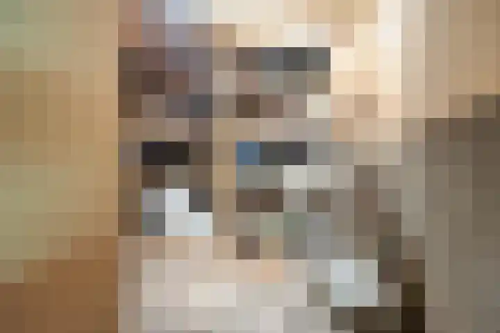 Vloeddijk 52 Kampen thumbnail 35