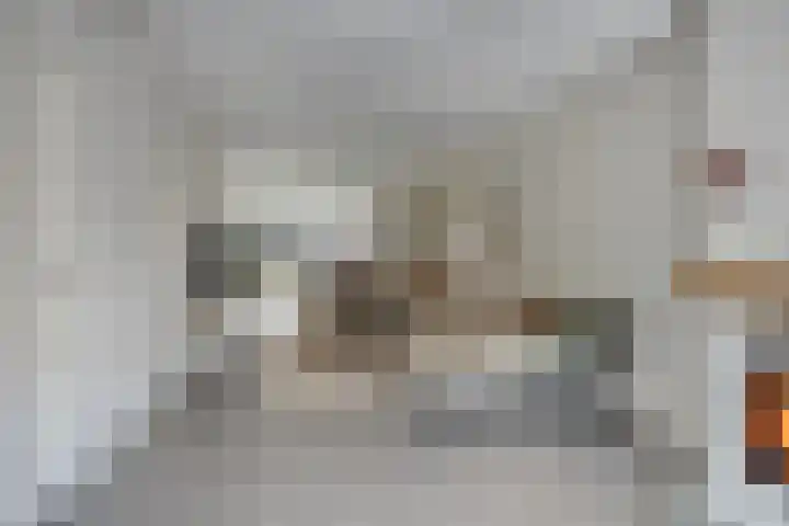 Vloeddijk 52 Kampen thumbnail 6