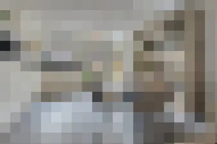 Vloeddijk 52 Kampen thumbnail 7