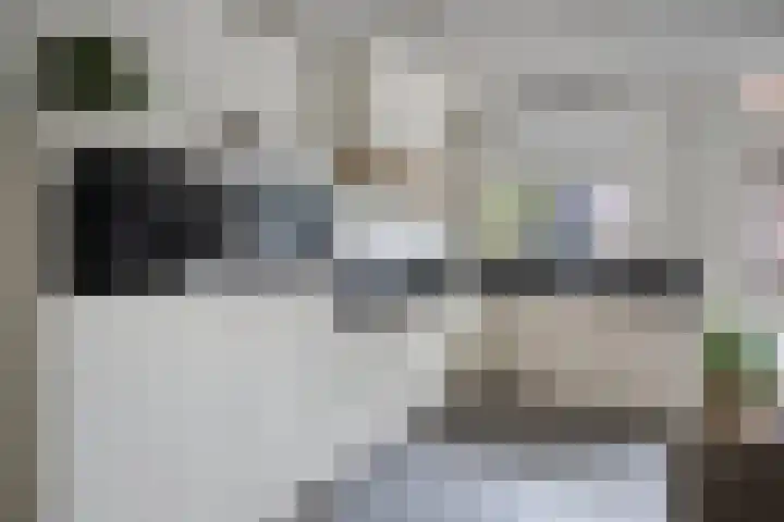 Vloeddijk 52 Kampen thumbnail 8