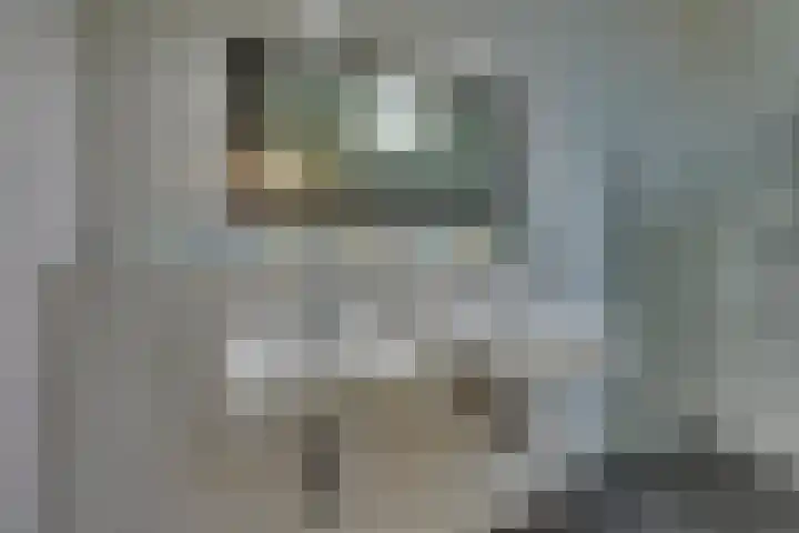 Vloeddijk 91 Kampen thumbnail 31