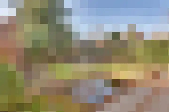 Vloeddijk 91 Kampen thumbnail 57