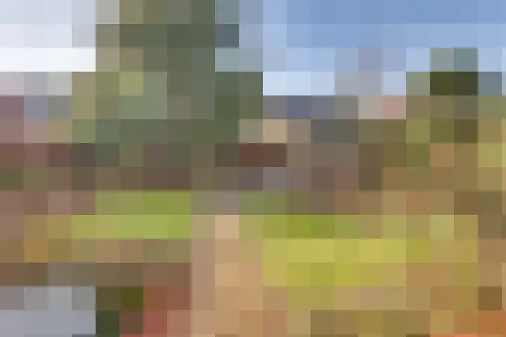 Vloeddijk 91 Kampen thumbnail 6