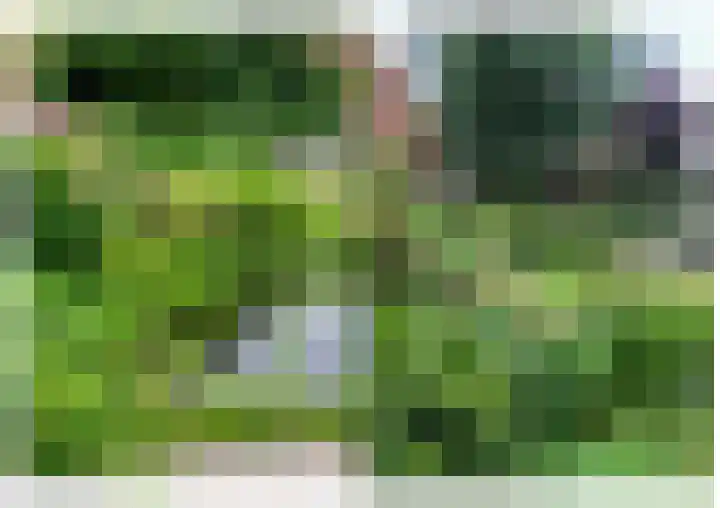 Vloeddijk 91 Kampen thumbnail 63