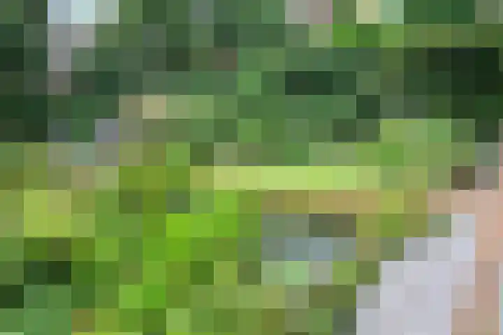 Vloeddijk 91 Kampen thumbnail 64