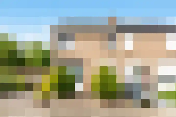 Vloedgraaf 1 dans Munstergeleen