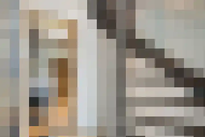 Vloedlijn 25 Brielle thumbnail 21