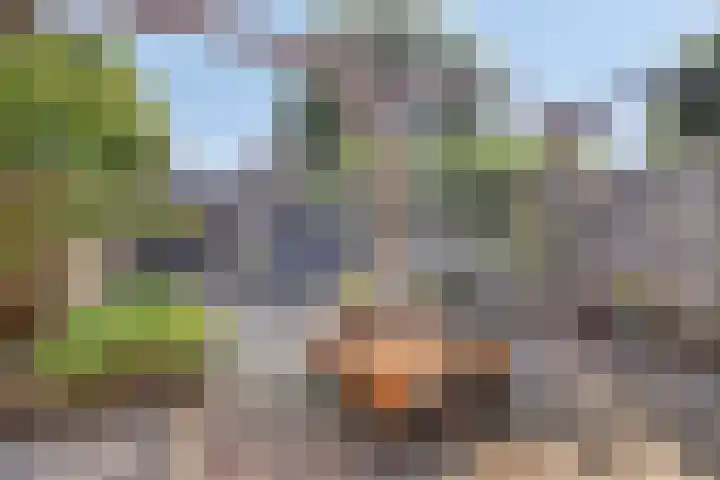 Vloedlijn 25 Brielle thumbnail 27