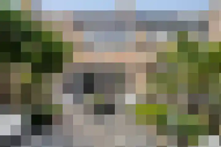 Vloedlijn 25 Brielle thumbnail 28
