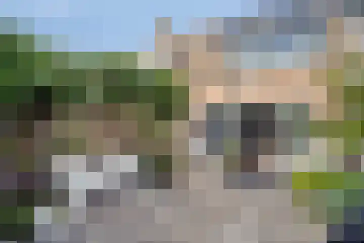 Vloedlijn 25 Brielle thumbnail 29