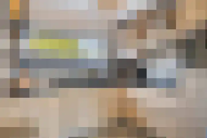 Vloedlijn 25 Brielle thumbnail 4
