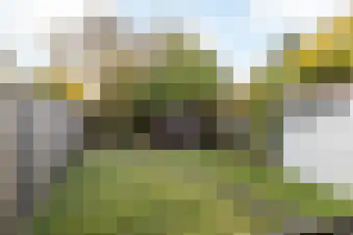 Vloedstraat 24 Nuth thumbnail 30