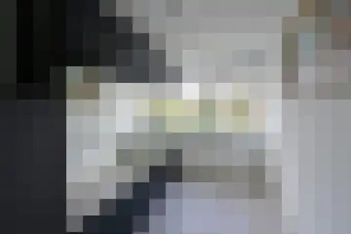 Vloedwal 34 Huizen thumbnail 13