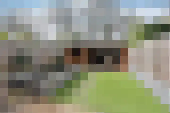 Vloedwal 34 Huizen thumbnail 18