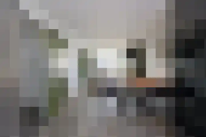 Vloedwal 34 Huizen thumbnail 4