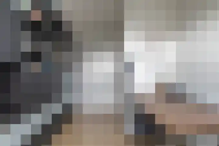 Vlotgras 29 Assendelft thumbnail 25