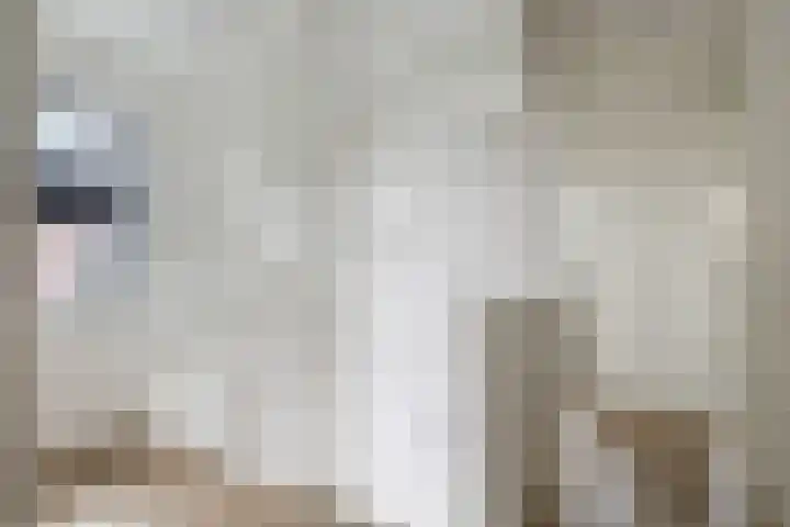 Vlotgras 29 Assendelft thumbnail 30