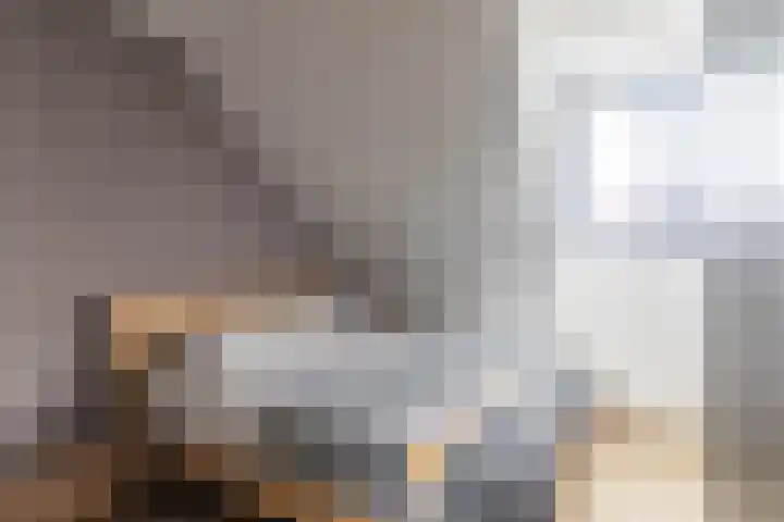 Vlotgras 29 Assendelft thumbnail 31
