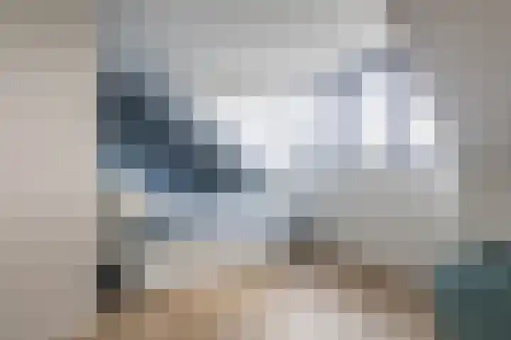Vlotgras 29 Assendelft thumbnail 33