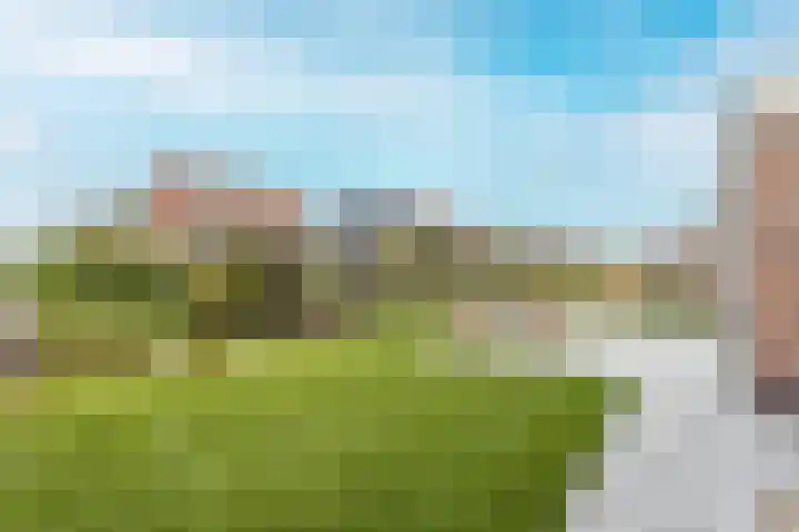 Vlotgras 29 Assendelft thumbnail 36