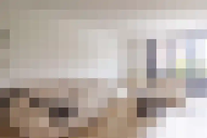 Vlotgras 29 Assendelft thumbnail 8